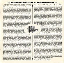 Load image into Gallery viewer, The Allman Brothers Band : Hell & High Water - The Best Of The Arista Years (CD, Comp)