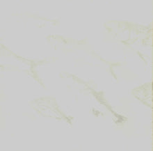 Load image into Gallery viewer, Terence Trent D'Arby : Terence Trent D'Arby's Neither Fish Nor Flesh: A Soundtrack Of Love, Faith, Hope, And Destruction (CD, Album)