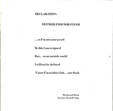 Load image into Gallery viewer, Terence Trent D'Arby : Terence Trent D'Arby's Neither Fish Nor Flesh: A Soundtrack Of Love, Faith, Hope, And Destruction (CD, Album)