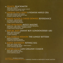 Load image into Gallery viewer, Various : Celtic Songs (CD, Comp)