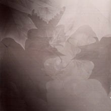 Load image into Gallery viewer, شيرين : ... طريقي (CD, Album)