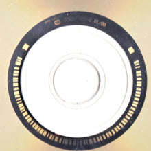 Load image into Gallery viewer, Lou Reed : Ecstasy (CD, Album)