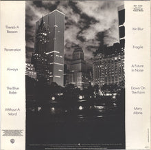 Load image into Gallery viewer, Tom Verlaine : Dreamtime (LP, Album)
