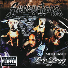Load image into Gallery viewer, Snoop Dogg : No Limit Top Dogg (CD, Album)
