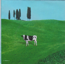Load image into Gallery viewer, Imani Coppola : Chupacabra (CD, Album)
