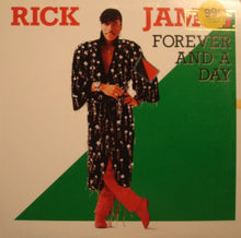 Load image into Gallery viewer, Rick James : Forever And A Day (12")
