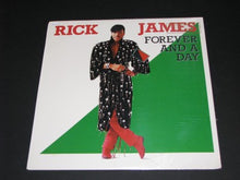 Load image into Gallery viewer, Rick James : Forever And A Day (12")

