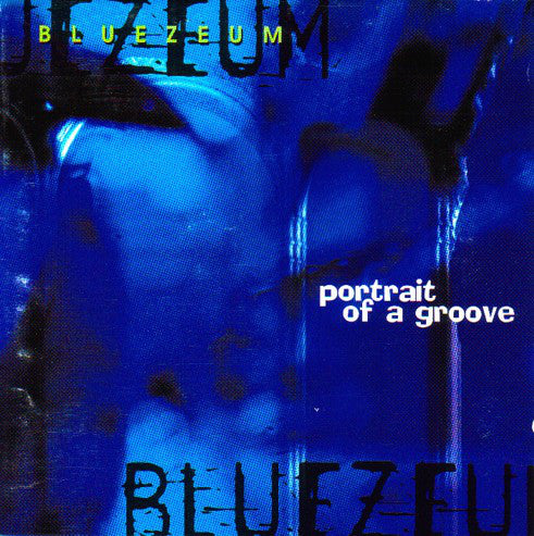 Bluezeum : Portrait Of A Groove (CD, Album)