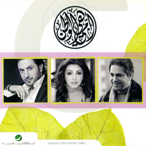 ماجد المهندس, أنغام و فضل شاكر : أمي هي الوطن (CD, Single, Sli)