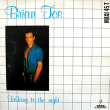 Load image into Gallery viewer, Brian Ice : Talking To The Night (12", Maxi)

