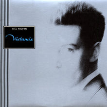 Load image into Gallery viewer, Bill Nelson : Vistamix (LP, Comp, Pit)

