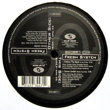 Load image into Gallery viewer, Fresh System : Down Under (12", Maxi)
