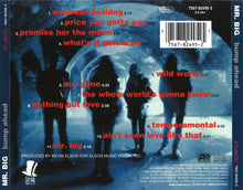 Load image into Gallery viewer, Mr. Big : Bump Ahead (CD, Album)
