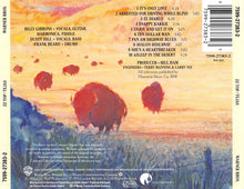 Load image into Gallery viewer, ZZ Top : Tejas (CD, Album, RE)
