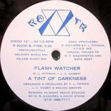 Load image into Gallery viewer, A Tint Of Darkness : Flash Watcher (12")
