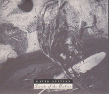 Load image into Gallery viewer, David Sylvian : Secrets Of The Beehive (CD, Album, RE, RM, Dig)
