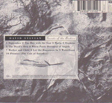 Load image into Gallery viewer, David Sylvian : Secrets Of The Beehive (CD, Album, RE, RM, Dig)
