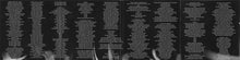 Load image into Gallery viewer, Scott H. Biram : Graveyard Shift (CD, Album)
