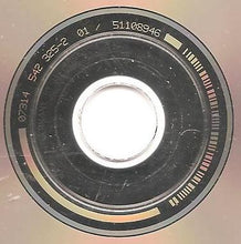 Load image into Gallery viewer, DJ Clue?* : The Professional 2 (CD, Album)
