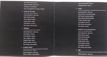 Load image into Gallery viewer, David Sanborn : Another Hand (CD, Album)
