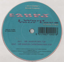 Load image into Gallery viewer, Fanny Cadeo : I Want Your Love (12&quot;)
