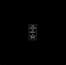 Load image into Gallery viewer, The Sisters Of Mercy : Floodland (LP, Album)
