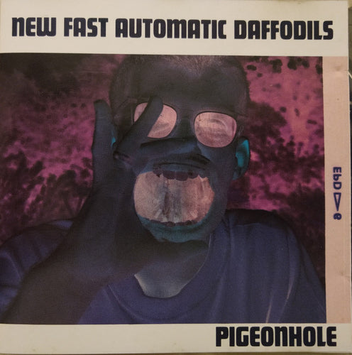 New Fast Automatic Daffodils : Pigeonhole (CD, Album)