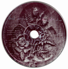 Load image into Gallery viewer, Soul Asylum (2) : Let Your Dim Light Shine (CD, Album)
