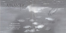 Load image into Gallery viewer, Fred Story : Natural Dreams - Music For Relaxation: Atlantic Blue (CD, Album)
