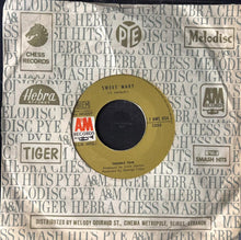 Load image into Gallery viewer, Terrible Tom : Sweet Mary / Zip-A-Dee Doo Dah (7")
