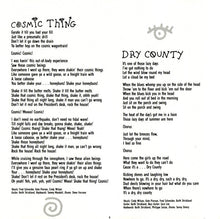 Load image into Gallery viewer, The B-52&#39;s : Cosmic Thing (CD, Album, RP)
