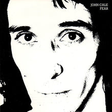 Load image into Gallery viewer, John Cale : Fear (CD, Album, RE)

