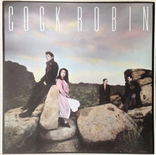 Load image into Gallery viewer, Cock Robin : Cock Robin (LP, Album)
