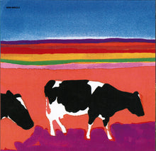 Load image into Gallery viewer, Dinosaur Jr. : Without A Sound (CD, Album)
