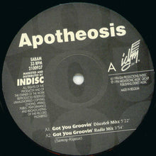 Load image into Gallery viewer, Apotheosis : Got You Groovin' (12")
