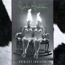 Load image into Gallery viewer, Jane's Addiction : Nothing's Shocking (LP, Album)
