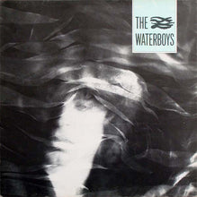 Load image into Gallery viewer, The Waterboys : The Waterboys (LP, Album)
