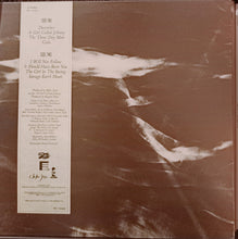 Load image into Gallery viewer, The Waterboys : The Waterboys (LP, Album)
