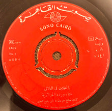 Load image into Gallery viewer, وردة الجزائرية* : يا نخلتين في العلالي / روحي وروحك (7")
