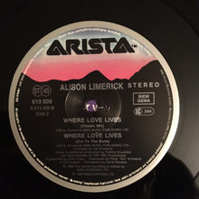 Load image into Gallery viewer, Alison Limerick : Where Love Lives (12", Maxi)
