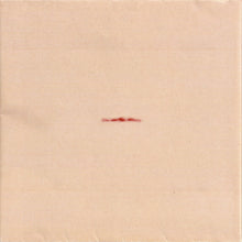 Load image into Gallery viewer, Peace Orchestra : Peace Orchestra (CD, Album)
