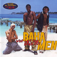 Load image into Gallery viewer, Baha Men : Who Let The Dogs Out (CD, Album)
