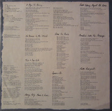 Load image into Gallery viewer, The Blow Monkeys : Whoops! There Goes The Neighbourhood (LP, Album)
