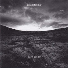 Load image into Gallery viewer, David Darling : Dark Wood (CD, Album)
