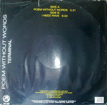 Load image into Gallery viewer, Terminal : Poem Without Words (12")
