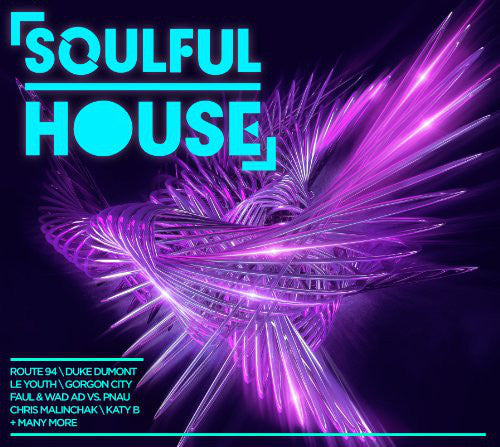 Various : Soulful House (2xCD, Comp)