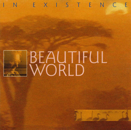 Beautiful World : In Existence (CD, Album)