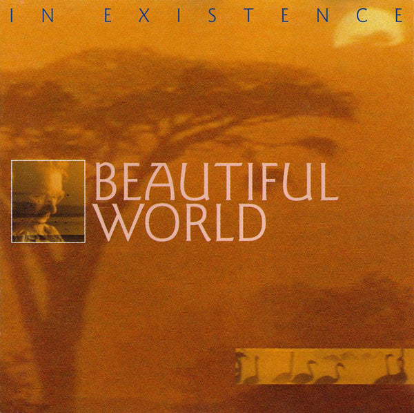 Beautiful World : In Existence (CD, Album)