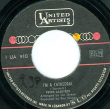 Load image into Gallery viewer, Peter Sarstedt : I'm A Cathedral (7", Single)
