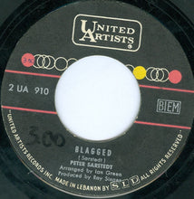 Load image into Gallery viewer, Peter Sarstedt : I'm A Cathedral (7", Single)
